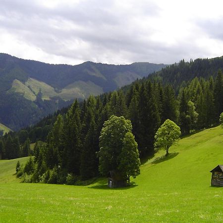Kirchenbichlerhof Villa Pruggern Exterior photo